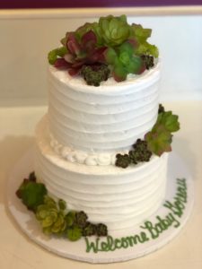Two-tiered textured Succulent Baby Shower Cake